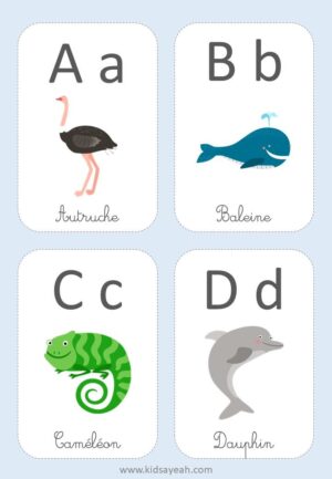 carte d'apprentissage alphabet