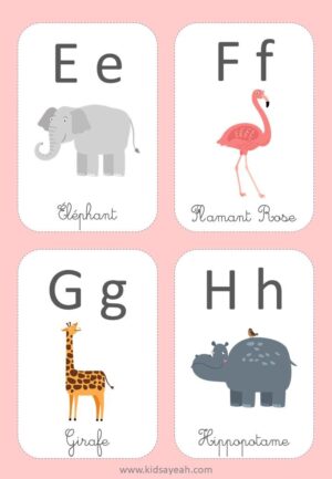 Cartes d’apprentissage de l’alphabet et des chiffres - 2