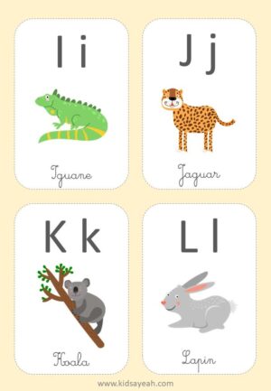 carte d'apprentissage alphabet