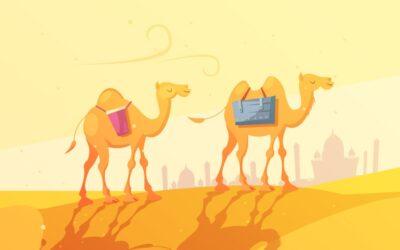 Comment un chameau peut-il survivre longtemps sans eau ?