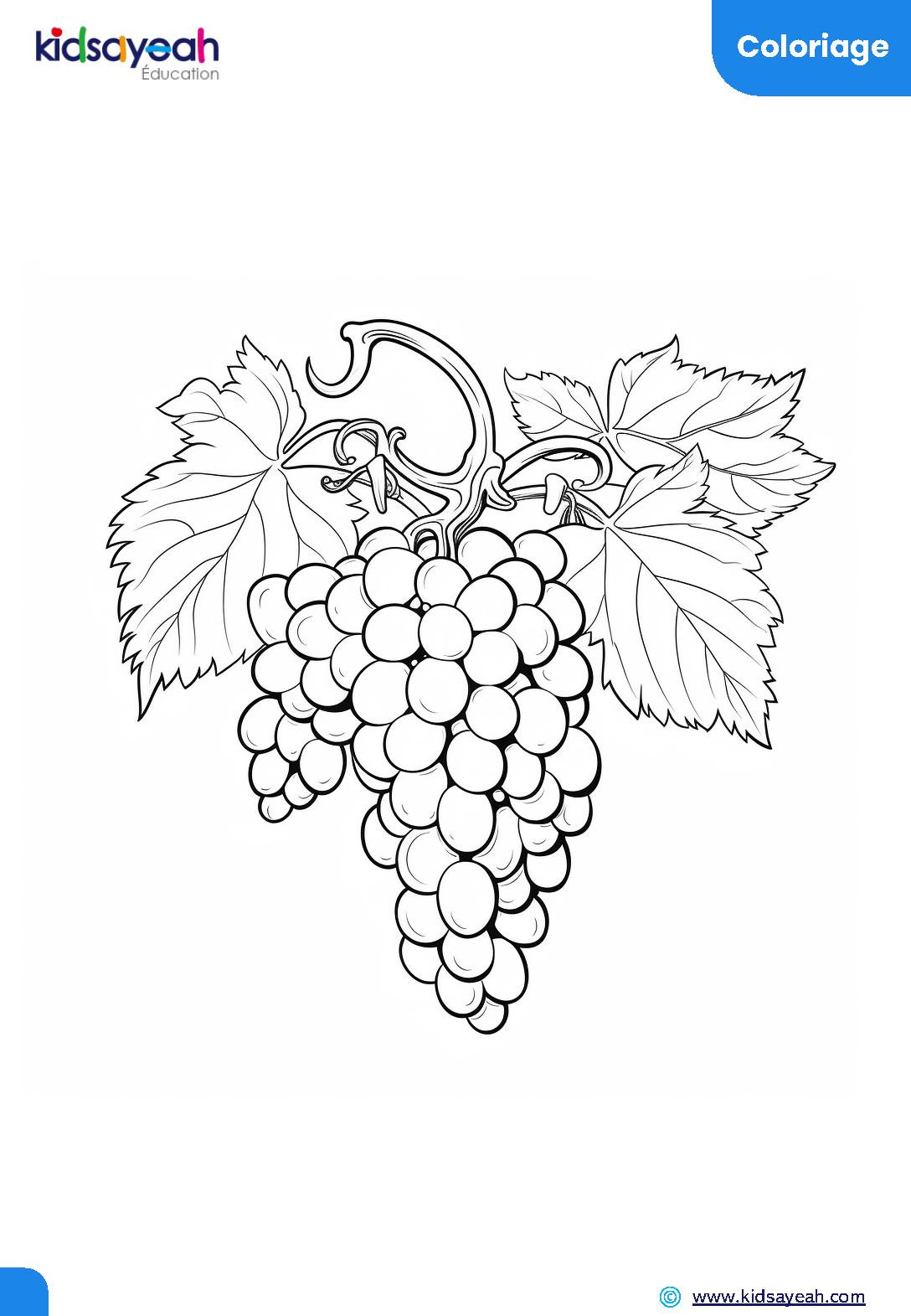 coloriage de fruits et légumes pour enfants