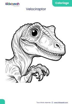 coloriage dinosaure_Velociraptor