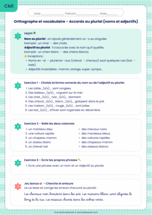 exercices CM1 accords pluriel noms adjectifs