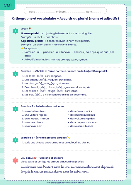 exercices CM1 accords pluriel noms adjectifs