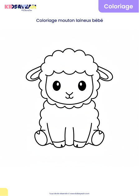 Coloriage mouton laineux bébé