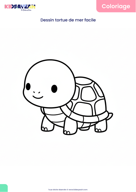 Dessin tortue de mer facile