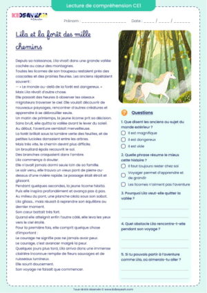 lecture autonome CE1 – Lila et la forêt aux mille chemins