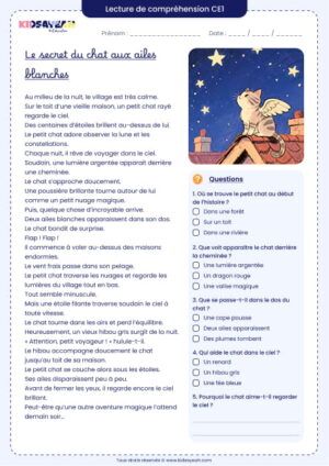 texte compréhension CE1 – Le secret du chat aux ailes blanches
