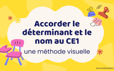 Accorder le déterminant et le nom au CE1 : une méthode visuelle