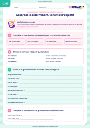 accord déterminant nom adjectif CM1 exercices