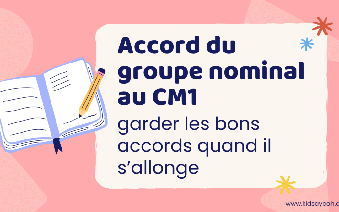 Accord du groupe nominal au CM1 : garder les bons accords quand il s’allonge