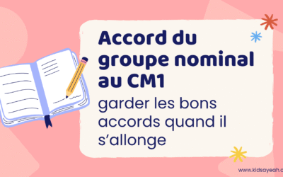 Accord du groupe nominal au CM1 : garder les bons accords quand il s’allonge