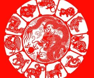 Coloriages signes du zodiaque chinois : comprendre les 12 animaux