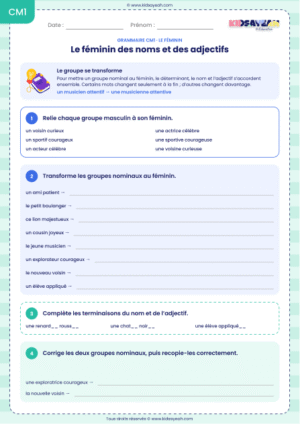 féminin des noms et adjectifs CM1 exercices