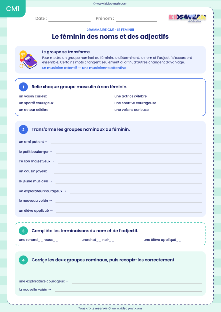 féminin des noms et adjectifs CM1 exercices