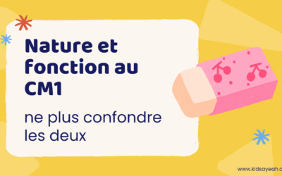 Nature et fonction au CM1 : ne plus confondre les deux