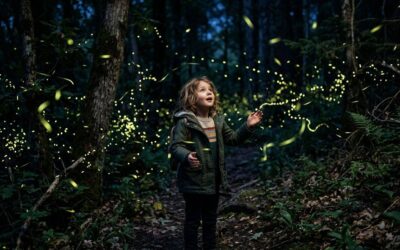 Pourquoi les lucioles brillent-elles ? Le langage lumineux des insectes