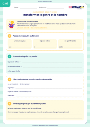 transformer le genre et le nombre d’un groupe nominal CM1