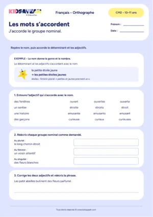 accord du groupe nominal CM2 exercice à imprimer - fiche élève