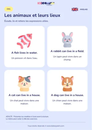 Apprendre à dire où vivent les animaux en anglais au CM1 — leçon illustrée