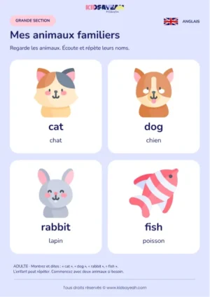 Apprendre cat dog rabbit et fish en GS — leçon illustrée