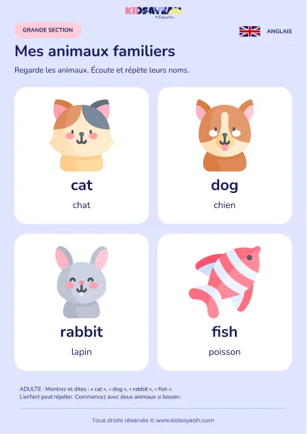 Apprendre cat dog rabbit et fish en GS — leçon illustrée