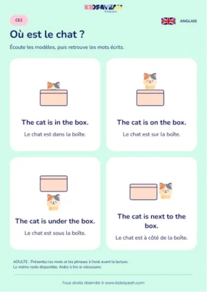 Apprendre in on under et next to avec un chat au CE2 — leçon illustrée