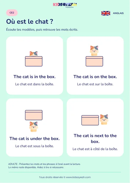 Apprendre in on under et next to avec un chat au CE2 — leçon illustrée