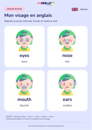 Apprendre les parties du visage en anglais en GS — leçon illustrée