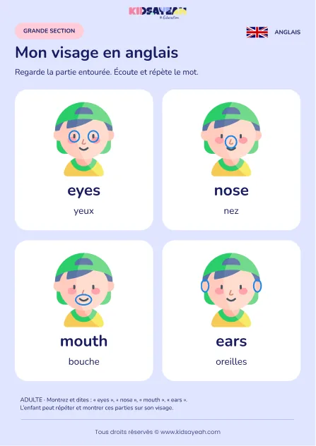 Apprendre les parties du visage en anglais en GS — leçon illustrée