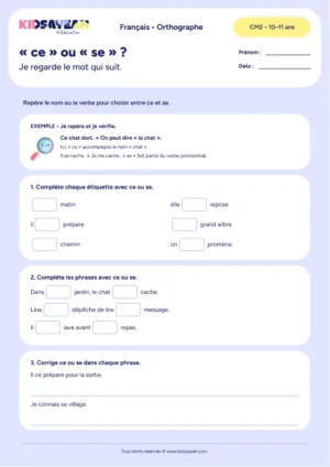 exercice ce ou se CM2 à imprimer - fiche élève