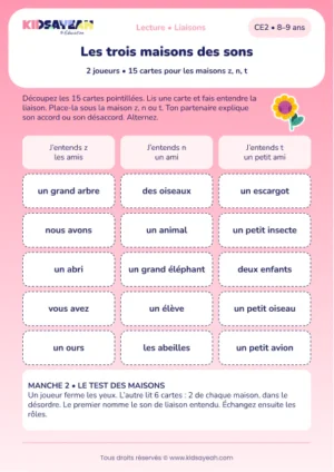 classer quinze liaisons dans les maisons z, n et t au CE2 — aperçu de la fiche CE2 à imprimer