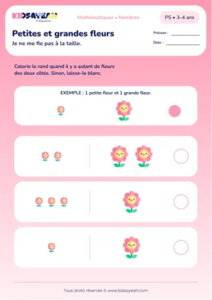 Petites et grandes fleurs – comparer des quantités malgré la taille en PS