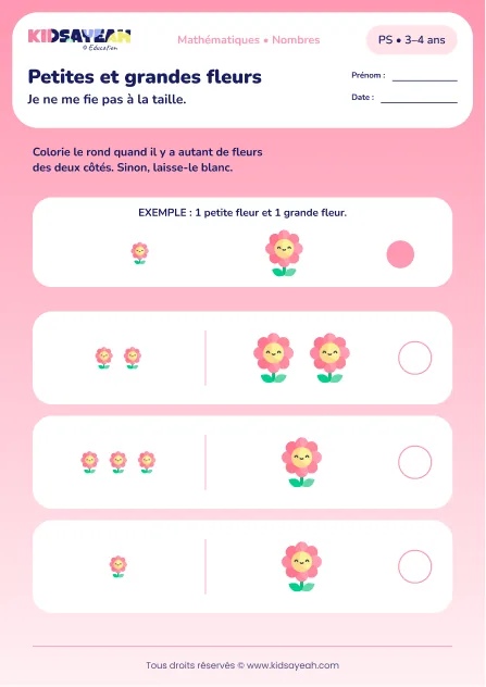 Petites et grandes fleurs – comparer des quantités malgré la taille en PS