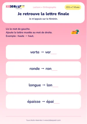 compléter vert, rond, long et épais à partir du féminin au CE1 — aperçu de la fiche CE1 à imprimer