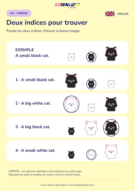 Comprendre deux indices sur un chat en anglais au CE1 — corrigé