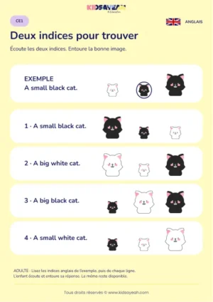 Comprendre deux indices sur un chat en anglais au CE1 — fiche enfant