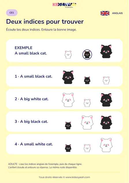 Comprendre deux indices sur un chat en anglais au CE1 — fiche enfant