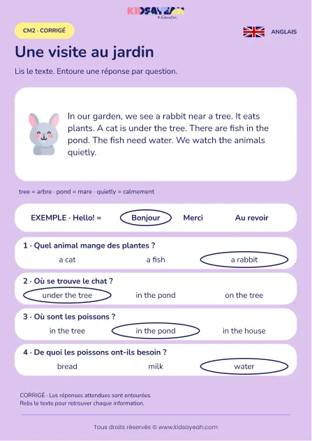 Comprendre une visite au jardin en anglais au CM2 — corrigé