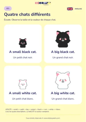 Décrire la taille et la couleur d’un chat en anglais au CE1 — leçon illustrée