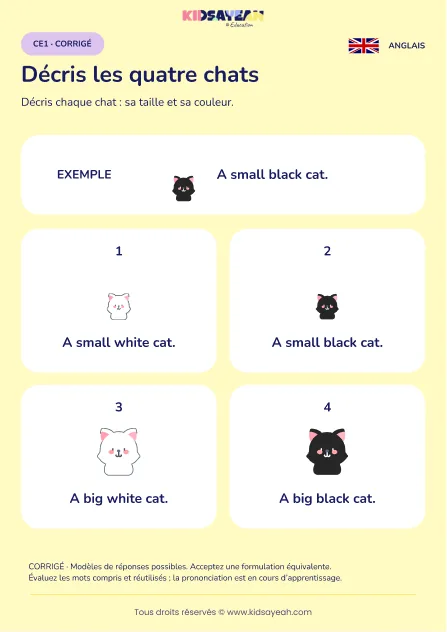 Décrire quatre chats avec small big black white au CE1 — corrigé