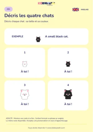 Décrire quatre chats avec small big black white au CE1 — fiche enfant