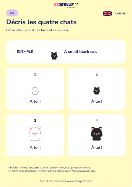 Décrire quatre chats avec small big black white au CE1 — fiche enfant