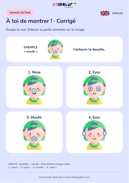 Entourer une partie du visage nommée en anglais en GS — corrigé