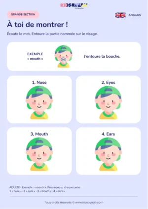 Entourer une partie du visage nommée en anglais en GS — fiche enfant