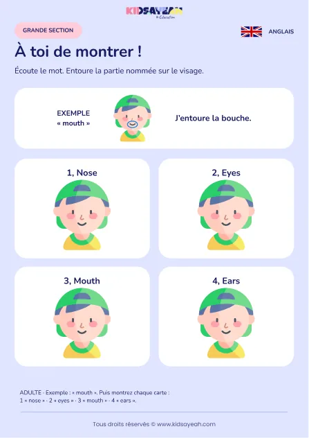 Entourer une partie du visage nommée en anglais en GS — fiche enfant