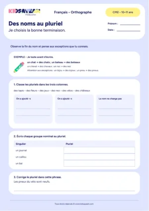 pluriel des noms CM2 exercice à imprimer - fiche élève