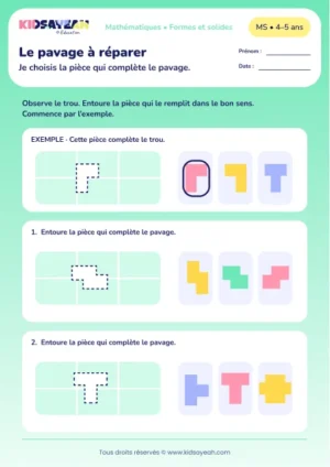 Le pavage à réparer – compléter un pavage avec la bonne pièce en MS