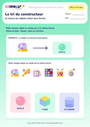 Le tri du constructeur – classer des objets selon la forme boule cube ou cylindre en MS