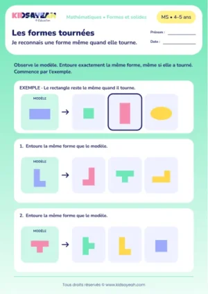 Les formes tournées – reconnaître une forme malgré son orientation en MS